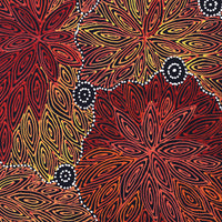 Aboriginal Artwork by Reanne Nampijinpa Brown, Ngapa Jukurrpa (Water Dreaming) - Mikanji, 50x40cm
