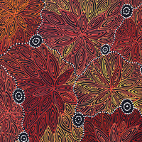Aboriginal Artwork by Reanne Nampijinpa Brown, Ngapa Jukurrpa (Water Dreaming) - Mikanji, 50x40cm