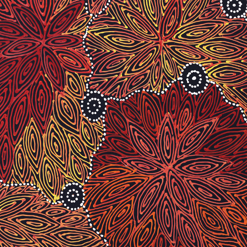 Aboriginal Artwork by Reanne Nampijinpa Brown, Ngapa Jukurrpa (Water Dreaming) - Mikanji, 50x40cm