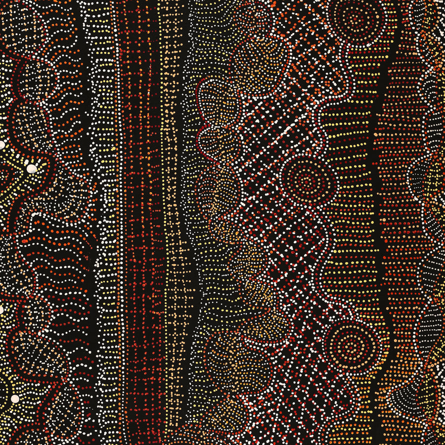 Aboriginal Artwork by Reanne Nampijinpa Brown, Pamapardu Jukurrpa (Flying Ant Dreaming) - Warntungurru, 183x91cm