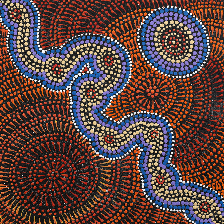 Aboriginal Artwork by Reanne Nampijinpa Brown, Ngapa Jukurrpa (Water Dreaming) - Mikanji, 30x30cm