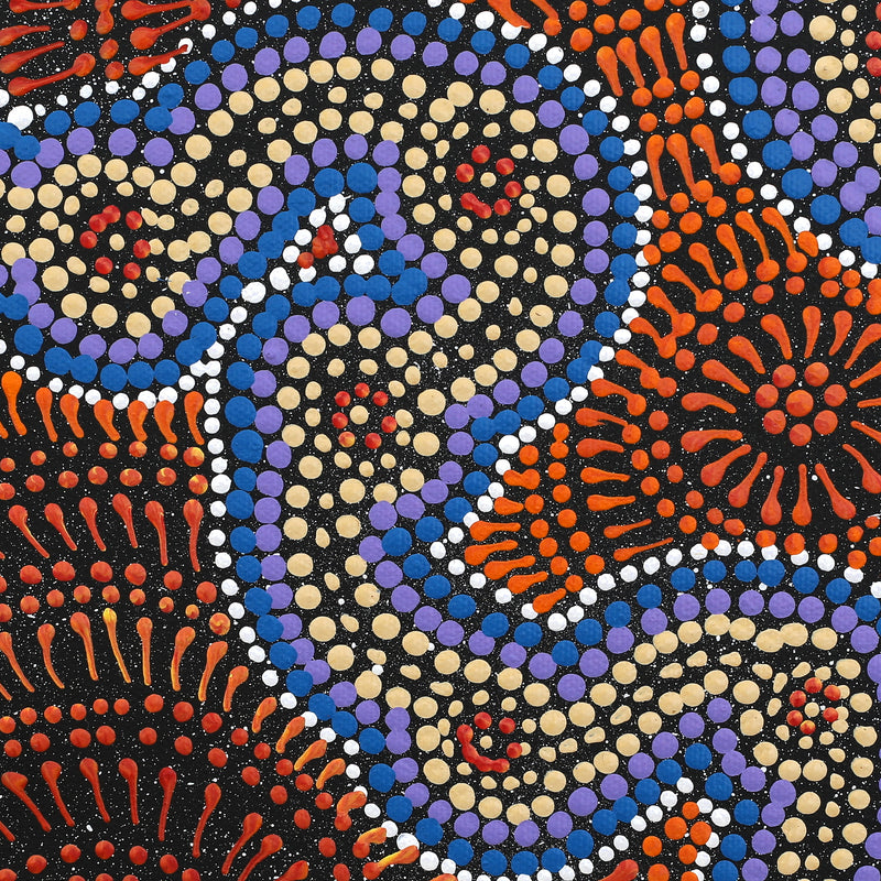 Aboriginal Artwork by Reanne Nampijinpa Brown, Ngapa Jukurrpa (Water Dreaming) - Mikanji, 30x30cm