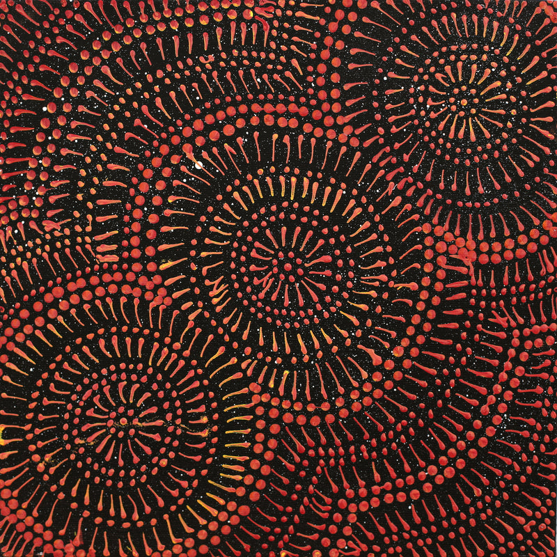Aboriginal Artwork by Reanne Nampijinpa Brown, Ngapa Jukurrpa (Water Dreaming) - Mikanji, 30x30cm
