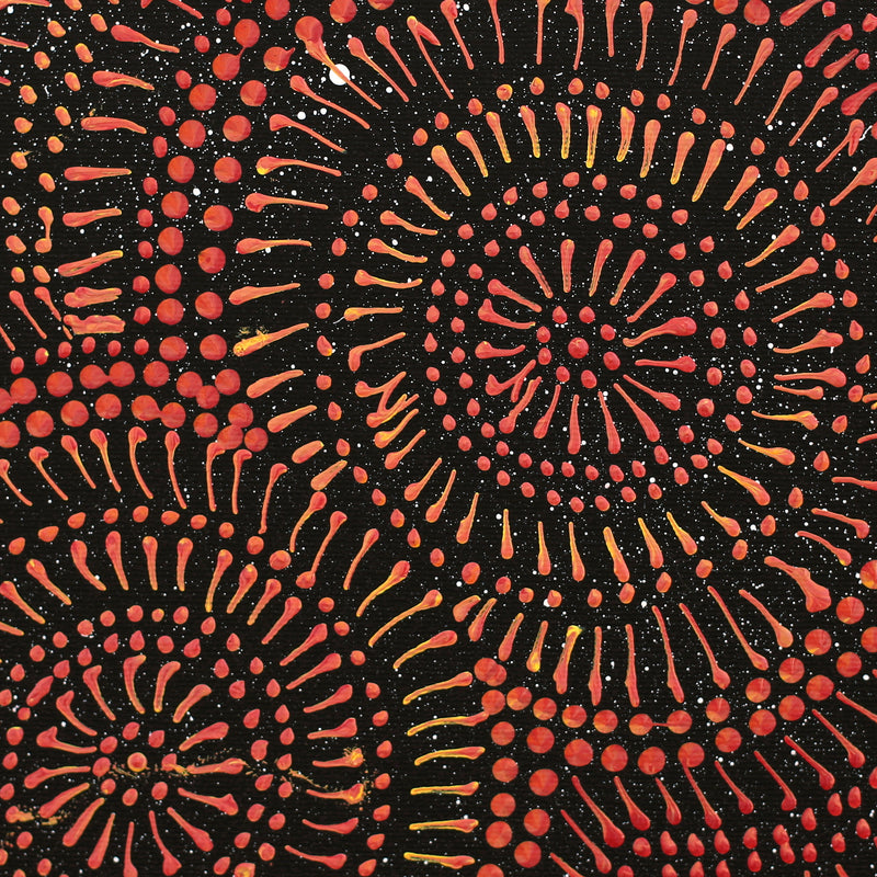 Aboriginal Artwork by Reanne Nampijinpa Brown, Ngapa Jukurrpa (Water Dreaming) - Mikanji, 30x30cm