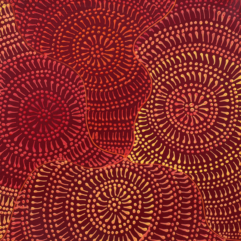 Aboriginal Artwork by Reanne Nampijinpa Brown, Pamapardu Jukurrpa (Flying Ant Dreaming) - Warntungurru, 30x30cm