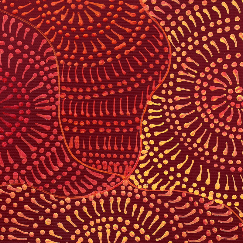 Aboriginal Artwork by Reanne Nampijinpa Brown, Pamapardu Jukurrpa (Flying Ant Dreaming) - Warntungurru, 30x30cm
