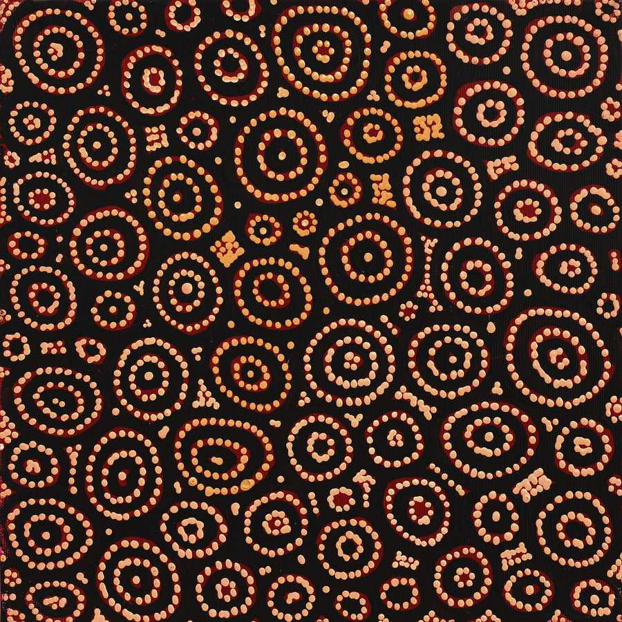 Aboriginal Artwork by Reanne Nampijinpa Brown, Pamapardu Jukurrpa (Flying Ant Dreaming) - Warntungurru, 30x30cm