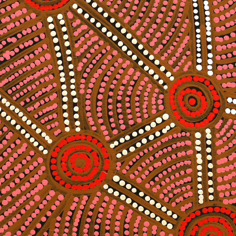Aboriginal Artwork by Reanne Nampijinpa Brown, Pamapardu Jukurrpa (Flying Ant Dreaming) - Warntungurru, 30x30cm