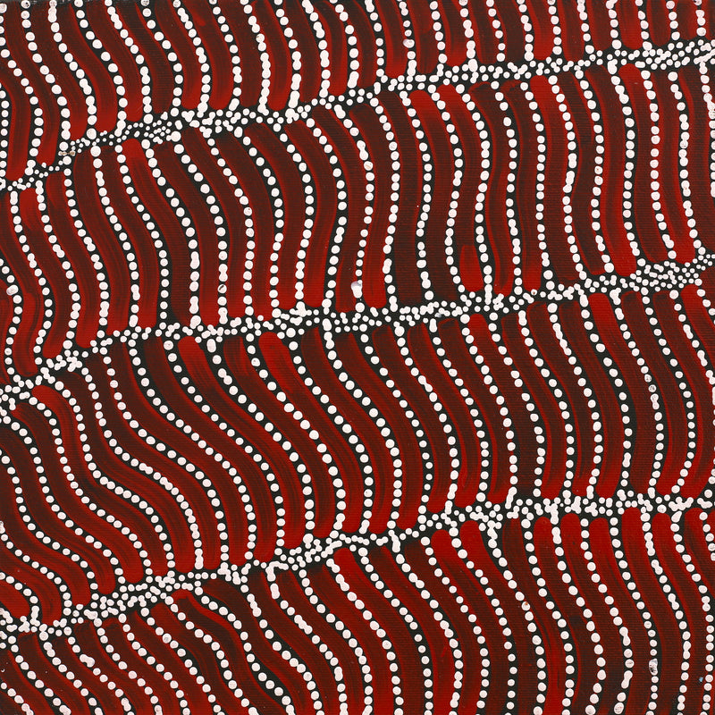 Aboriginal Artwork by Reanne Nampijinpa Brown, Pamapardu Jukurrpa (Flying Ant Dreaming) - Warntungurru, 30x30cm