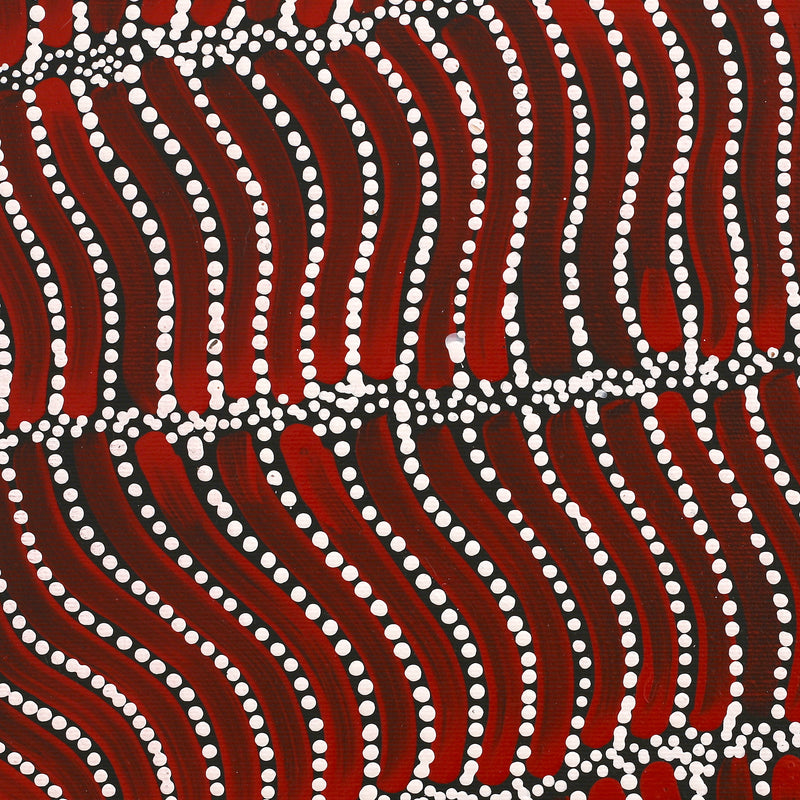 Aboriginal Artwork by Reanne Nampijinpa Brown, Pamapardu Jukurrpa (Flying Ant Dreaming) - Warntungurru, 30x30cm
