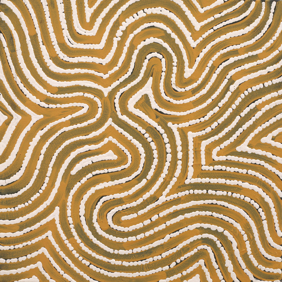 Aboriginal Artwork by Reanne Nampijinpa Brown, Pamapardu Jukurrpa (Flying Ant Dreaming) - Warntungurru, 30x30cm