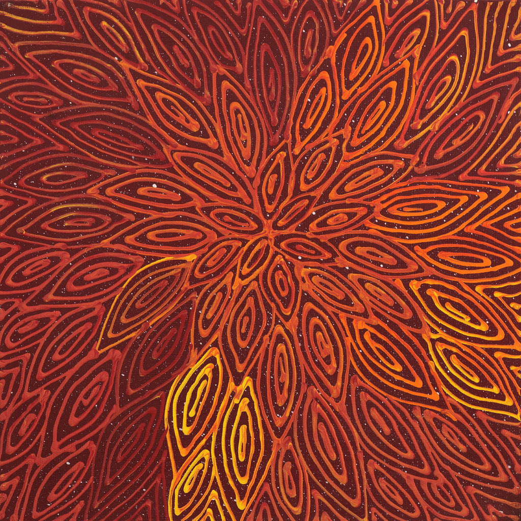 Aboriginal Art by Reanne Nampijinpa Brown, Pamapardu Jukurrpa (Flying Ant Dreaming) - Warntungurru, 30x30cm - ART ARK®
