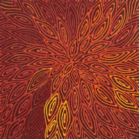 Aboriginal Art by Reanne Nampijinpa Brown, Pamapardu Jukurrpa (Flying Ant Dreaming) - Warntungurru, 30x30cm - ART ARK®