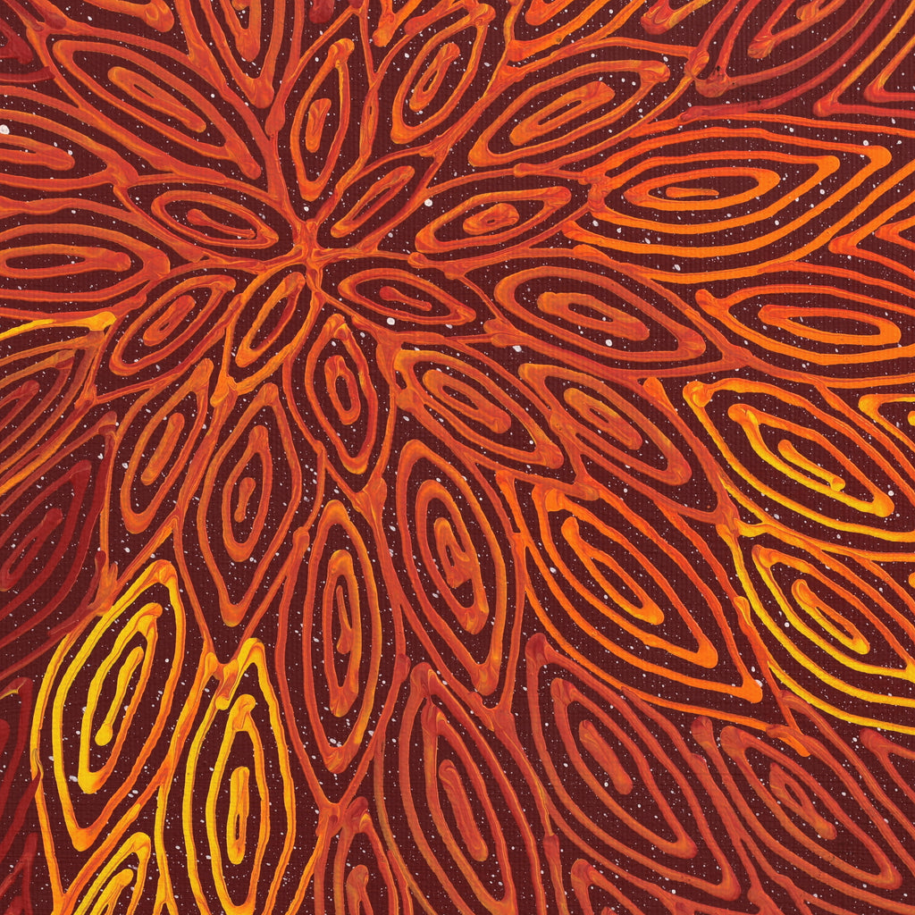 Aboriginal Artwork by Reanne Nampijinpa Brown, Pamapardu Jukurrpa (Flying Ant Dreaming) - Warntungurru, 30x30cm