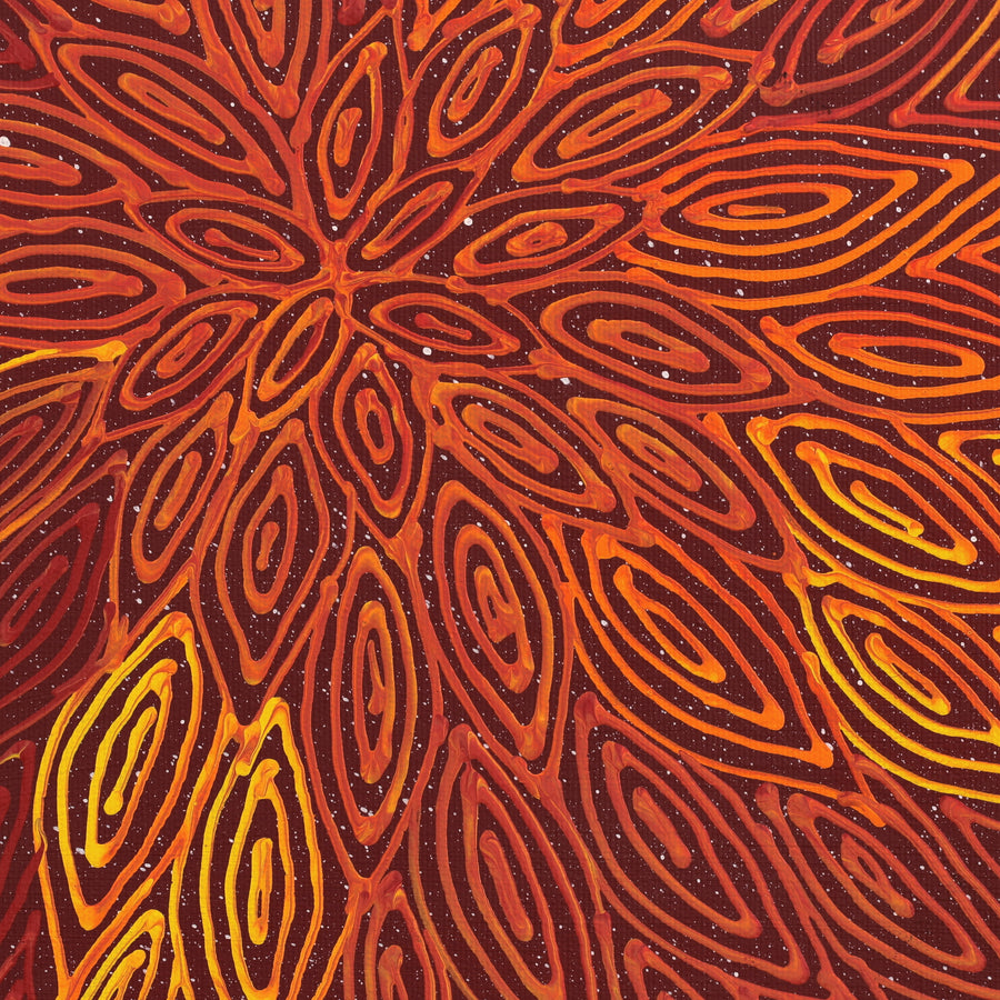 Aboriginal Artwork by Reanne Nampijinpa Brown, Pamapardu Jukurrpa (Flying Ant Dreaming) - Warntungurru, 30x30cm