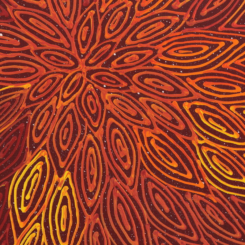 Aboriginal Artwork by Reanne Nampijinpa Brown, Pamapardu Jukurrpa (Flying Ant Dreaming) - Warntungurru, 30x30cm