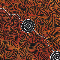 Aboriginal Artwork by Reanne Nampijinpa Brown, Ngapa Jukurrpa (Water Dreaming) - Mikanji, 40x40cm