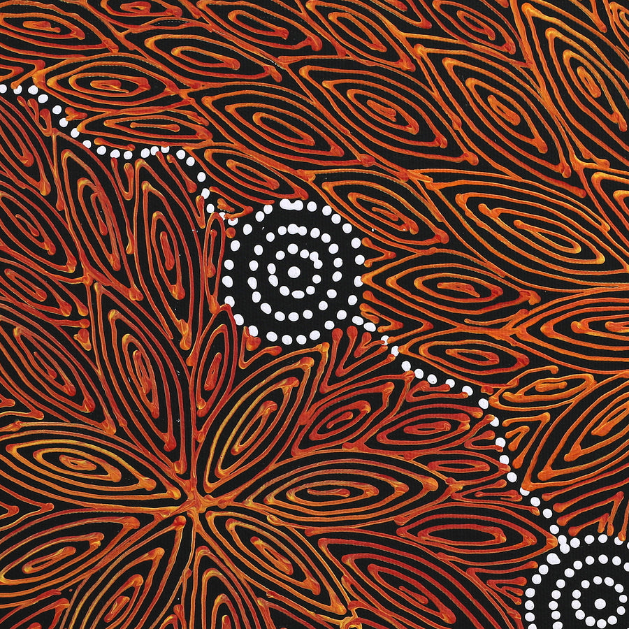 Aboriginal Artwork by Reanne Nampijinpa Brown, Ngapa Jukurrpa (Water Dreaming) - Mikanji, 40x40cm
