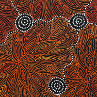 Aboriginal Artwork by Reanne Nampijinpa Brown, Ngapa Jukurrpa (Water Dreaming) - Mikanji, 40x40cm