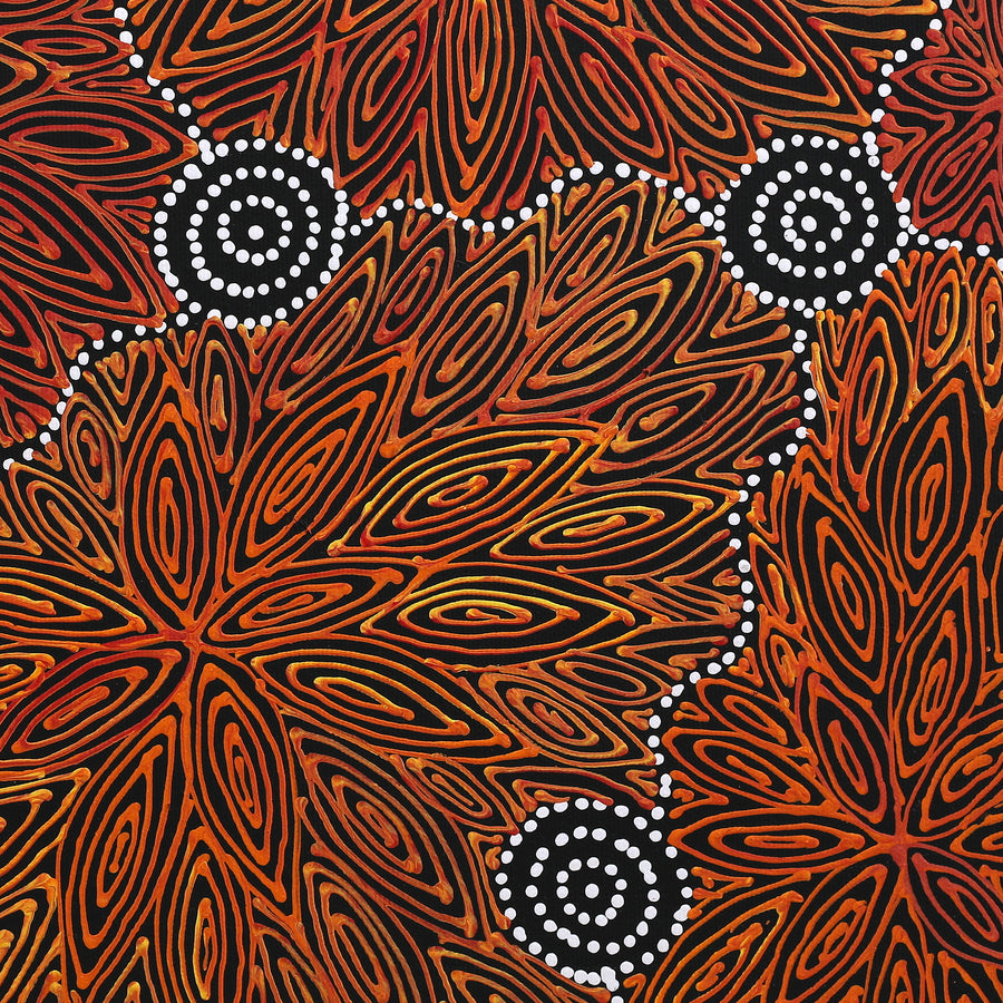 Aboriginal Artwork by Reanne Nampijinpa Brown, Ngapa Jukurrpa (Water Dreaming) - Mikanji, 40x40cm