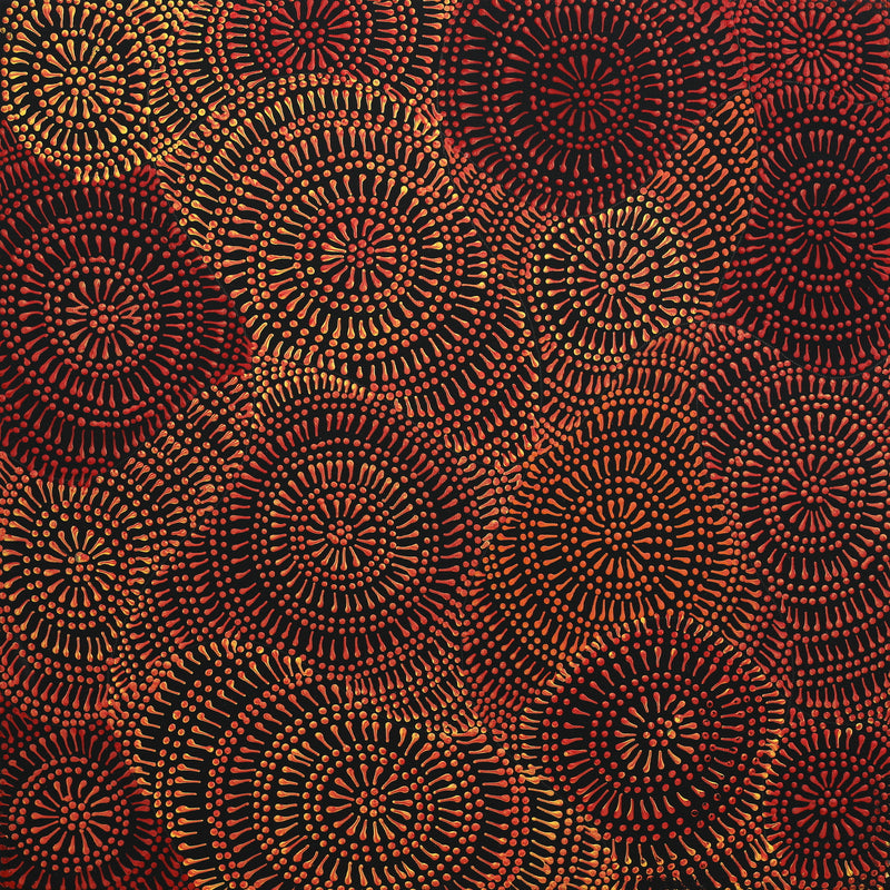 Aboriginal Artwork by Reanne Nampijinpa Brown, Ngapa Jukurrpa (Water Dreaming) - Mikanji, 40x40cm