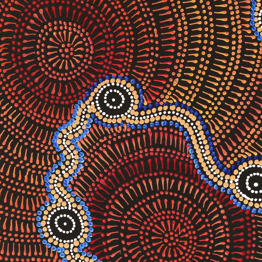 Aboriginal Artwork by Reanne Nampijinpa Brown, Ngapa Jukurrpa (Water Dreaming) - Mikanji, 50x40cm
