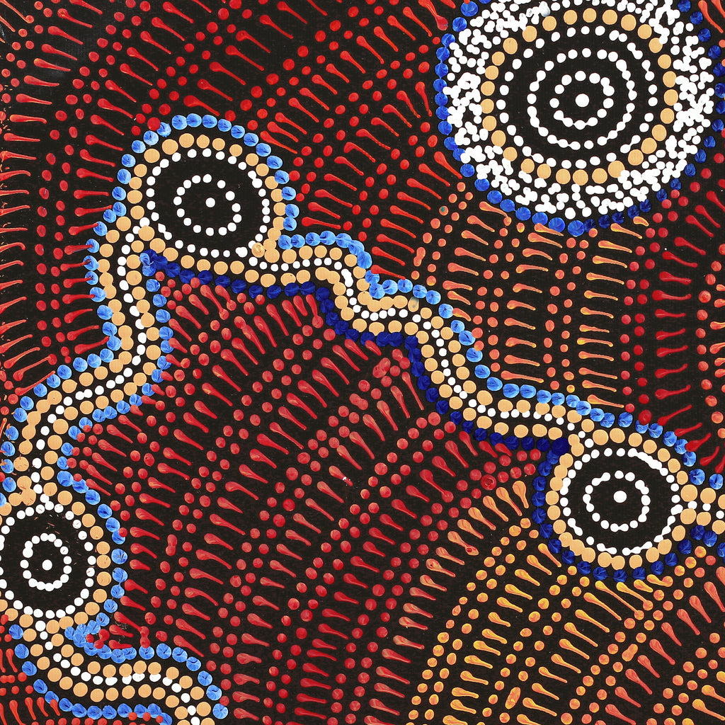 Aboriginal Art by Reanne Nampijinpa Brown, Ngapa Jukurrpa (Water Dreaming) - Mikanji, 50x40cm - ART ARK®