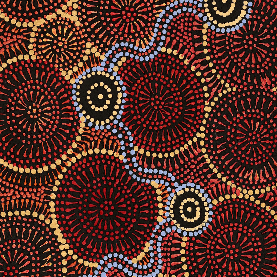 Aboriginal Artwork by Reanne Nampijinpa Brown, Ngapa Jukurrpa (Water Dreaming) - Mikanji, 76x30cm