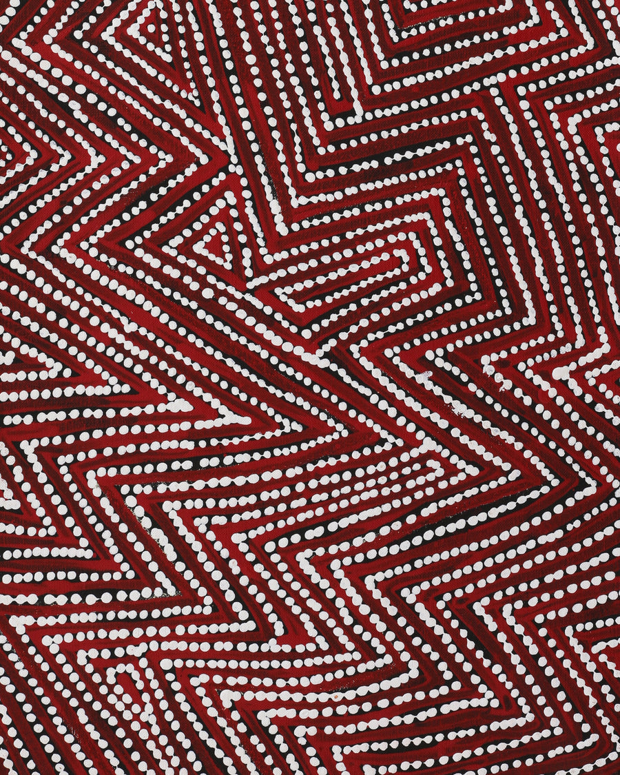 Aboriginal Artwork by Reanne Nampijinpa Brown, Pamapardu Jukurrpa (Flying Ant Dreaming) - Warntungurru, 76x30cm