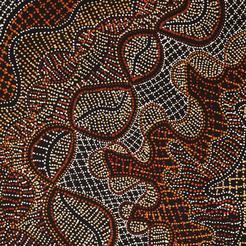 Aboriginal Artwork by Reanne Nampijinpa Brown, Pamapardu Jukurrpa (Flying Ant Dreaming) - Warntungurru, 91x46cm