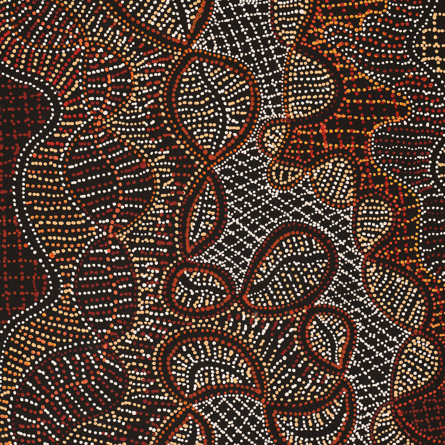 Aboriginal Artwork by Reanne Nampijinpa Brown, Pamapardu Jukurrpa (Flying Ant Dreaming) - Warntungurru, 91x46cm