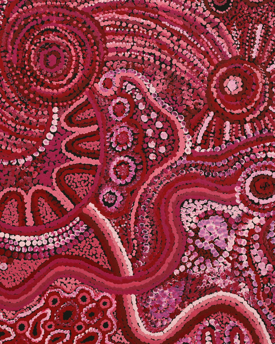 Renae Nelson, Ngayuku Ngura, 100x71cm