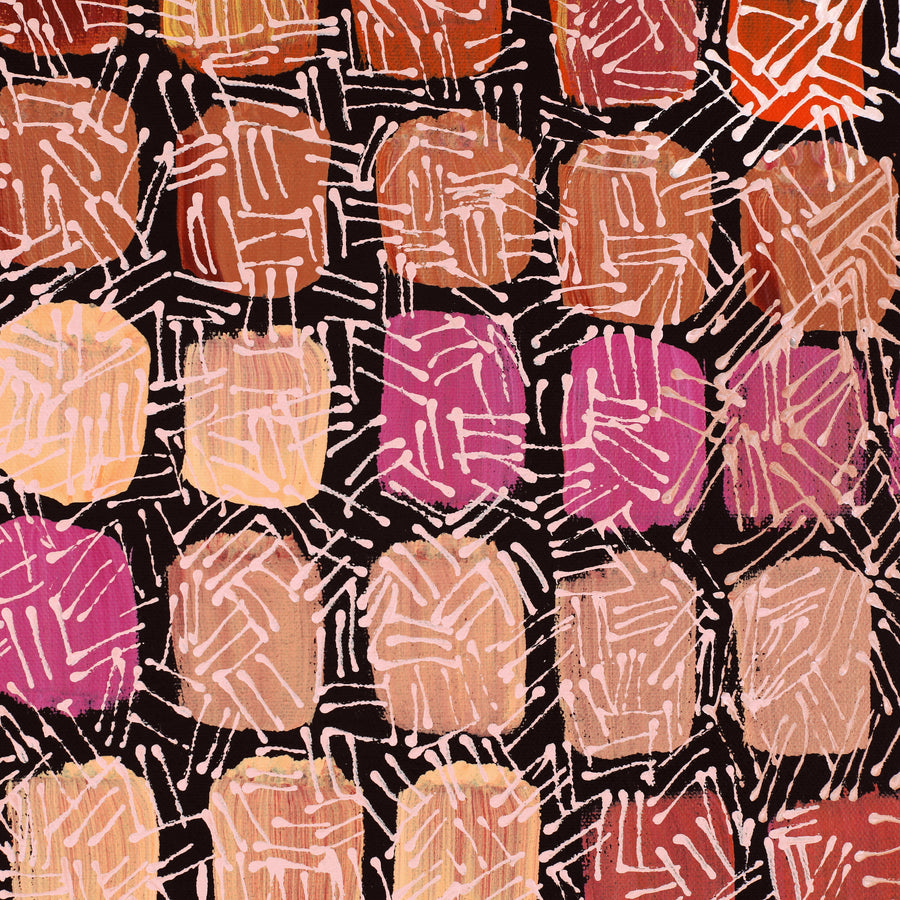 Aboriginal Artwork by Renae Nelson, Mamungari, 150x100cm