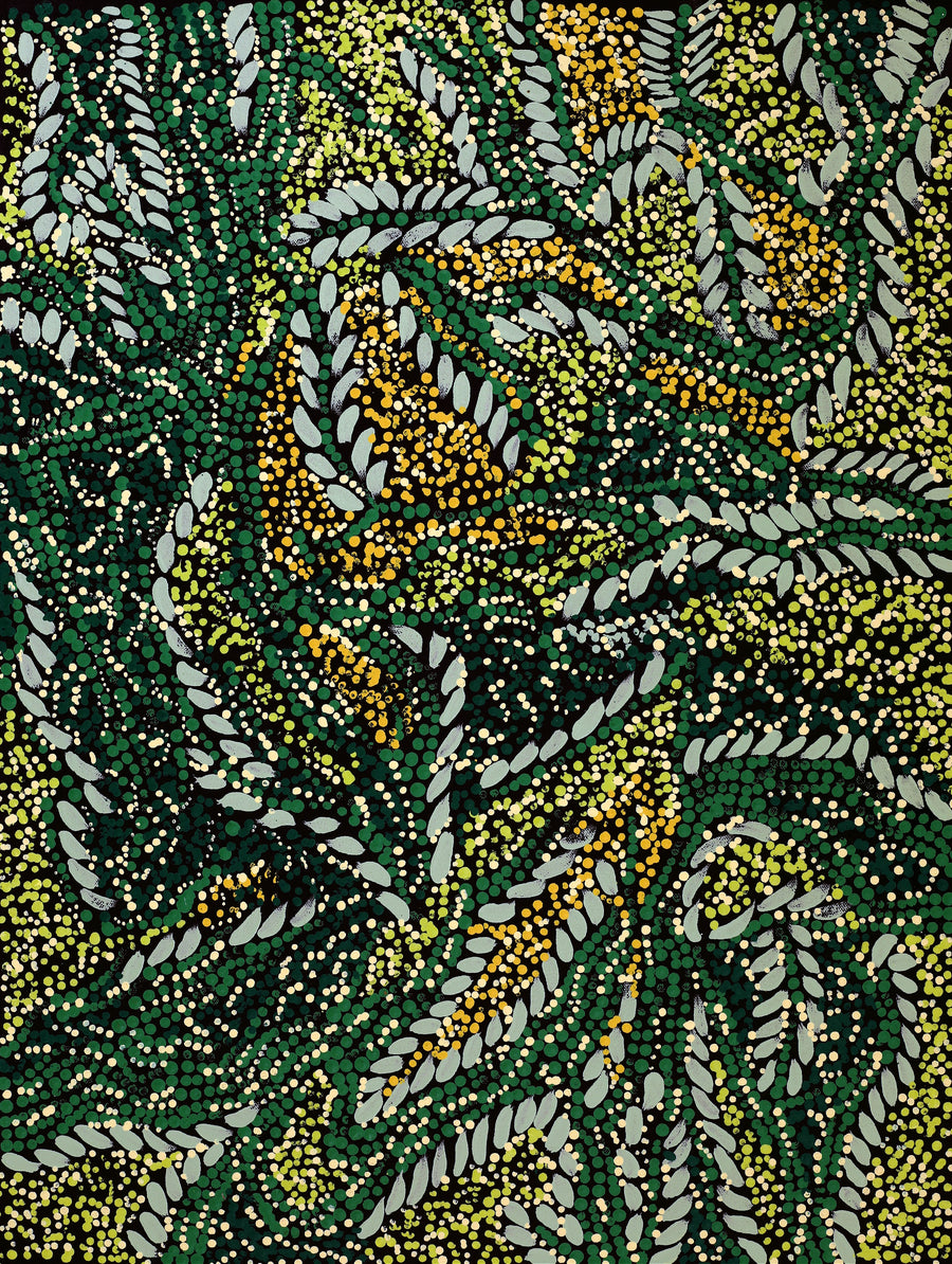 Aboriginal Artwork by Renae Nelson, Irmangka Irmangka, 61x46cm