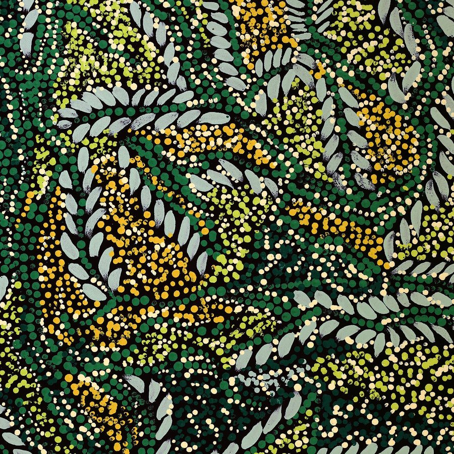 Aboriginal Artwork by Renae Nelson, Irmangka Irmangka, 61x46cm