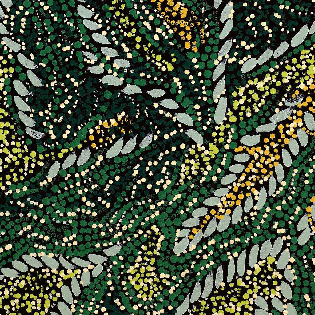 Aboriginal Artwork by Renae Nelson, Irmangka Irmangka, 61x46cm