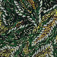 Aboriginal Artwork by Renae Nelson, Irmangka Irmangka, 61x46cm