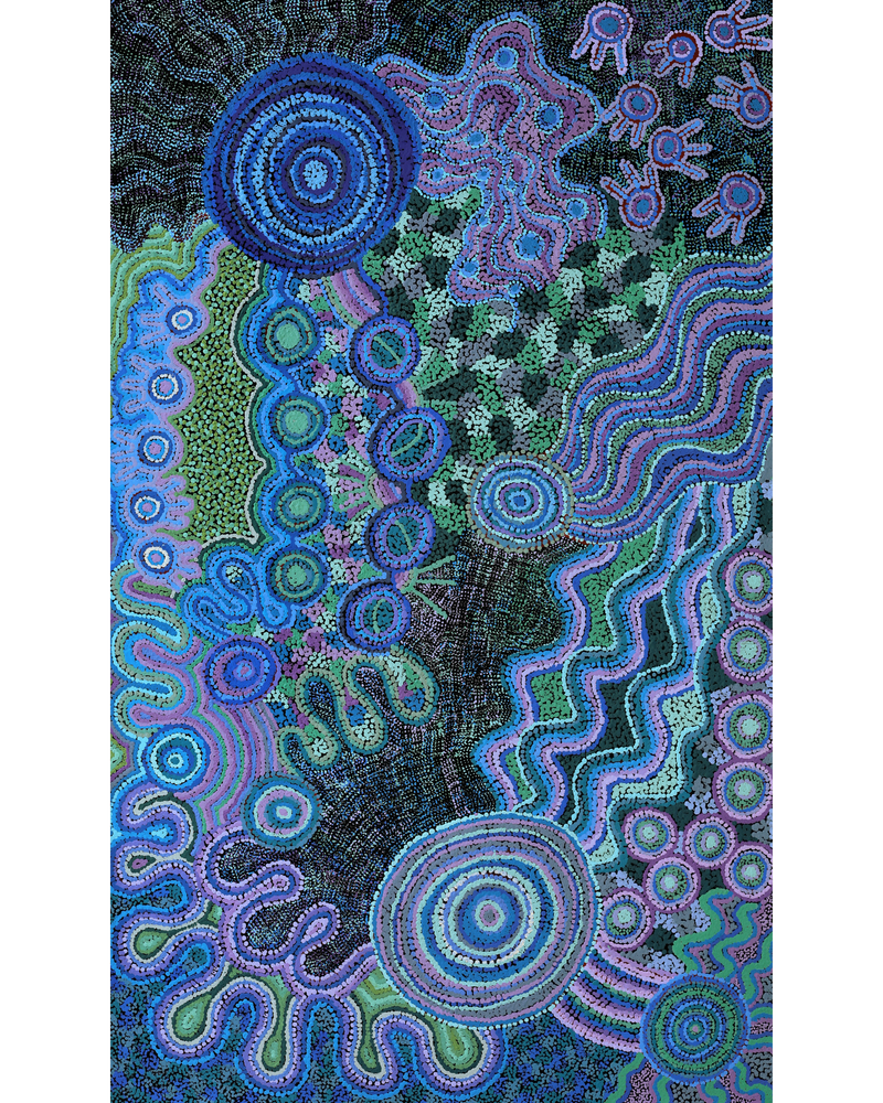 Aboriginal Artwork by Renae Nelson, Mamungari, 200x122cm