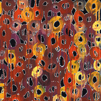 Aboriginal Artwork by Renae Nelson, Mamungari, 102x71cm