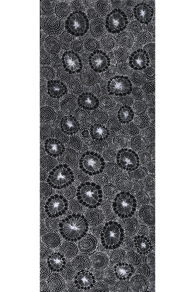 Aboriginal Artwork by Renelle Napanangka McCormack, Pikilyi Jukurrpa (Vaugn Springs Dreaming), 76x30cm