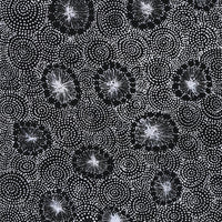 Aboriginal Artwork by Renelle Napanangka McCormack, Pikilyi Jukurrpa (Vaugn Springs Dreaming), 76x30cm