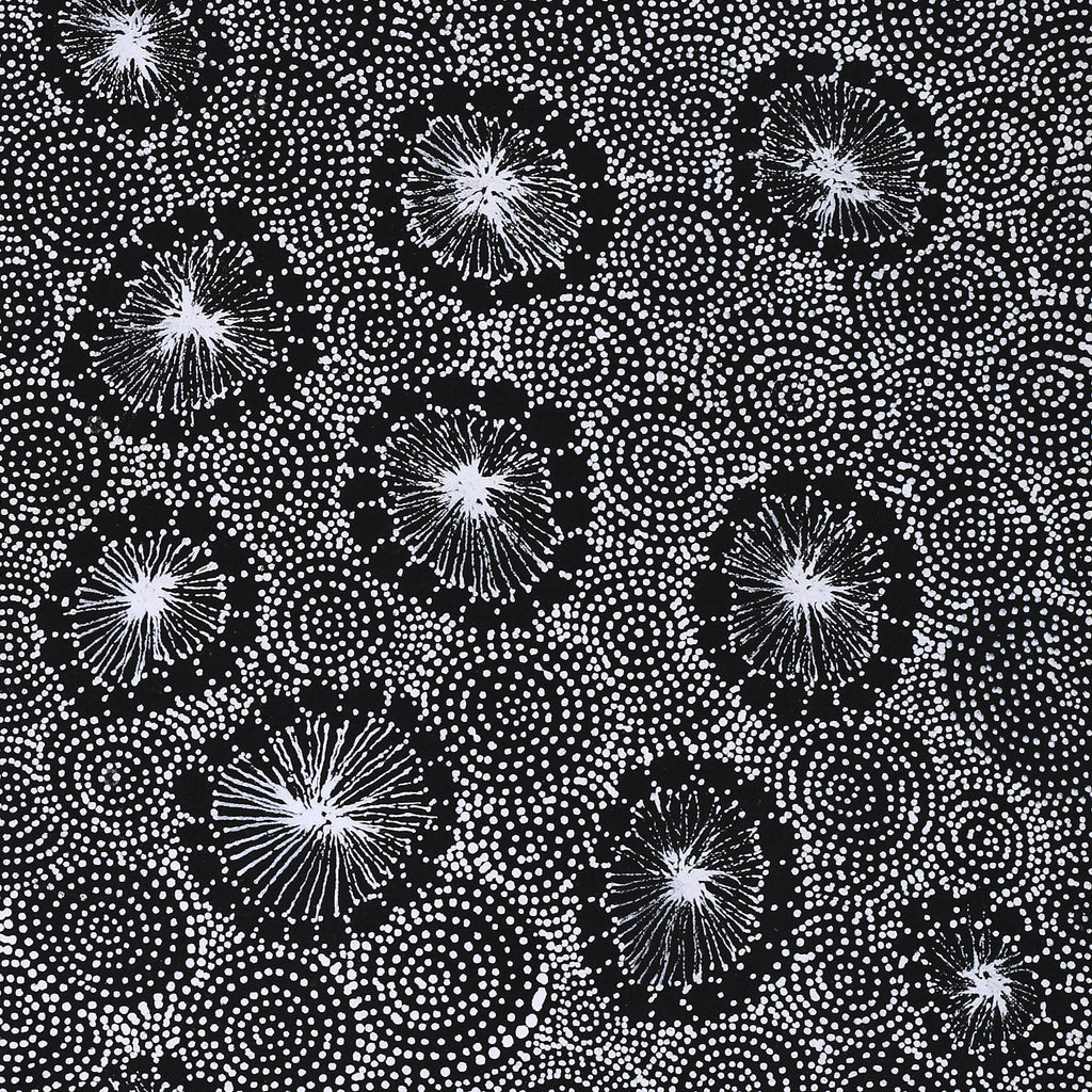 Aboriginal Artwork by Renelle Napanangka McCormack, Pikilyi Jukurrpa (Vaugn Springs Dreaming), 76x30cm