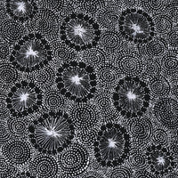 Aboriginal Artwork by Renelle Napanangka McCormack, Pikilyi Jukurrpa (Vaugn Springs Dreaming), 76x30cm