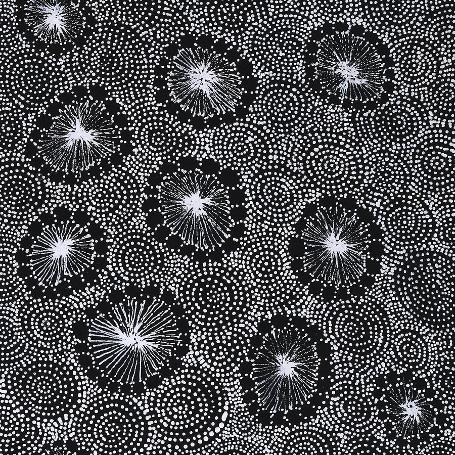 Aboriginal Artwork by Renelle Napanangka McCormack, Pikilyi Jukurrpa (Vaugn Springs Dreaming), 76x30cm