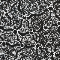 Aboriginal Artwork by Renelle Napanangka McCormack, Pikilyi Jukurrpa (Vaugn Springs Dreaming), 76x61cm