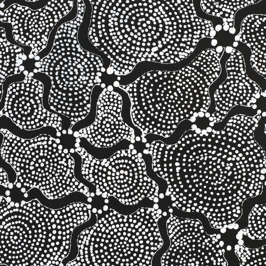 Aboriginal Artwork by Renelle Napanangka McCormack, Pikilyi Jukurrpa (Vaugn Springs Dreaming), 76x61cm