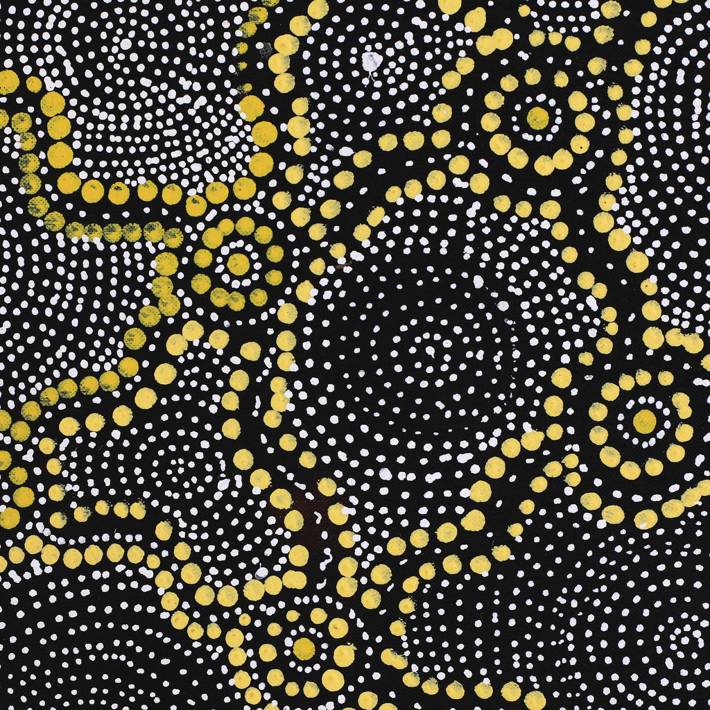 Aboriginal Artwork by Renelle Napanangka McCormack, Pikilyi Jukurrpa (Vaugn Springs Dreaming), 91x46cm