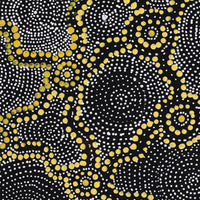 Aboriginal Artwork by Renelle Napanangka McCormack, Pikilyi Jukurrpa (Vaugn Springs Dreaming), 91x46cm