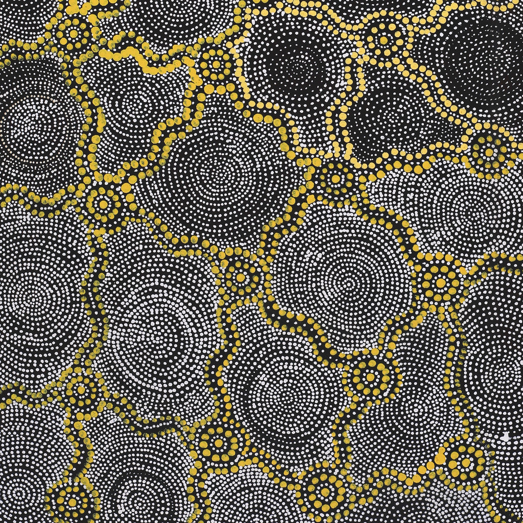 Aboriginal Artwork by Renelle Napanangka McCormack, Pikilyi Jukurrpa (Vaugn Springs Dreaming), 91x46cm