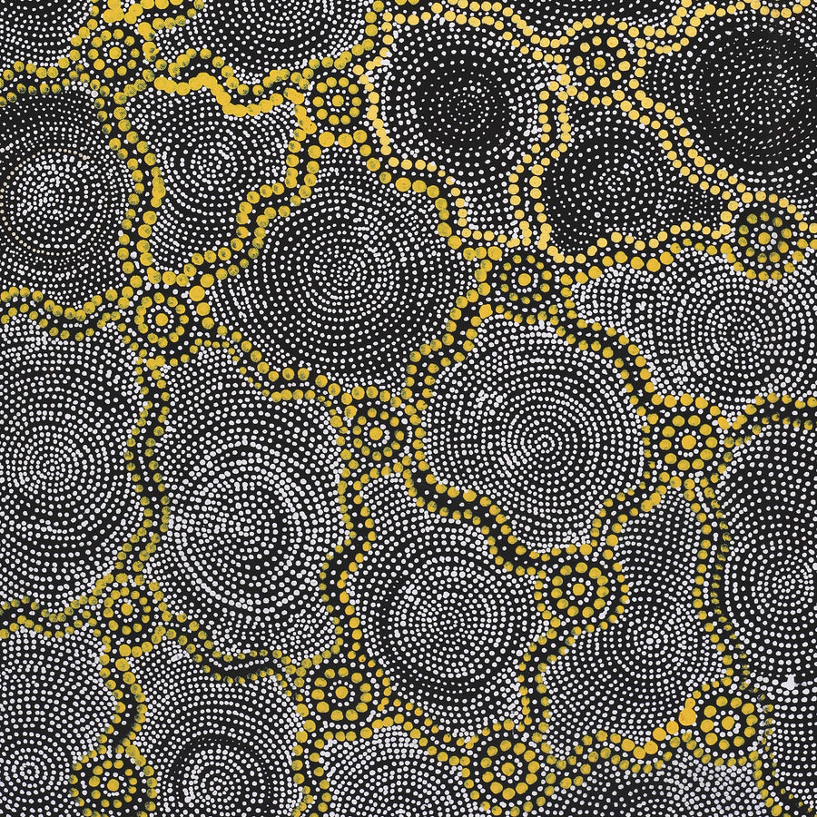 Aboriginal Artwork by Renelle Napanangka McCormack, Pikilyi Jukurrpa (Vaugn Springs Dreaming), 91x46cm